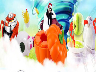 大懒猫懒人用品加盟品牌 保障货物进出口，轻松创业无忧